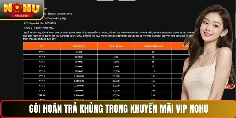Gói hoàn trả khủng trong khuyến mãi VIP NOHU